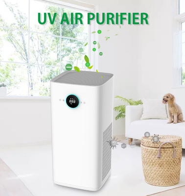 Multifunctieoem Negatieve Ion Air Cleaner Hepa Air Zuiveringsinstallatie voor Allergieën