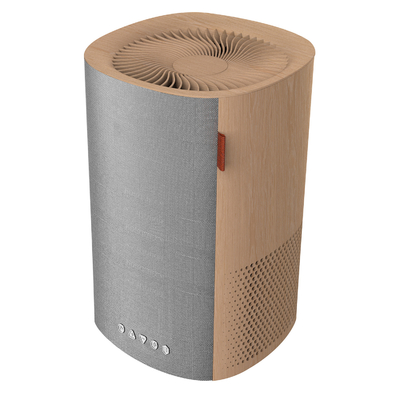 DC24V negatief Ion Generator Air Purifier met Hepa-Filter voor 12 Sq Voet Gebieds